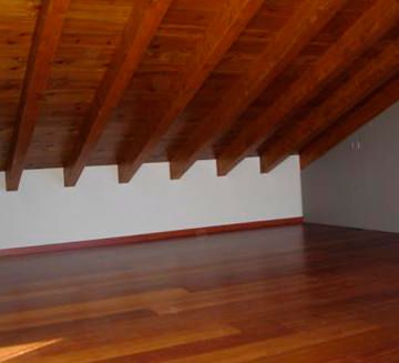 Munt Pirenaica trabajo realizado 3
